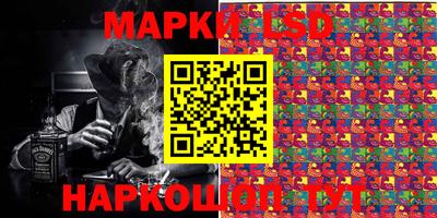 мяу мяу мука Гатчина