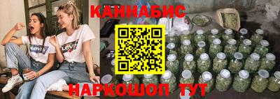мяу мяу мука Гатчина