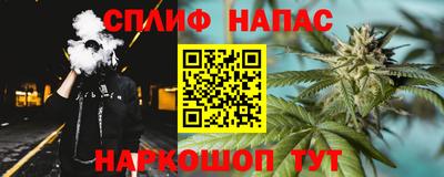мяу мяу мука Гатчина