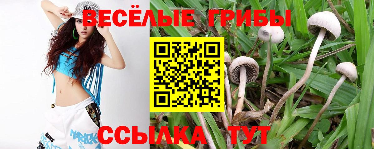 Мелеуз  купить закладку  Вход с VPN  Псилоцибиновые грибы мицелий 